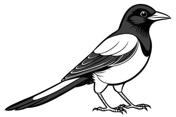 coloring page line art the magpie black vector