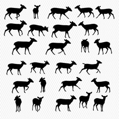 Silhouette collection of deer in various poses: standing, walking, running, and grazing, presented against a white background.