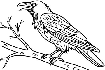 coloring page line art the crow black vector