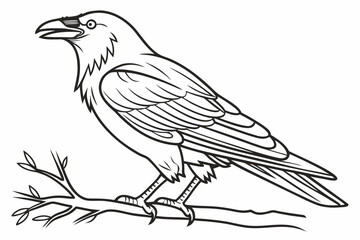 Obraz premium coloring page line art the crow black vector