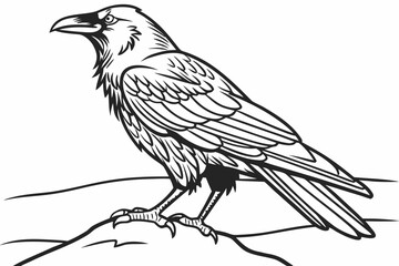 coloring page line art the crow black vector