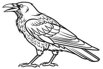 coloring page line art the crow black vector