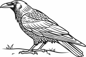 Obraz premium coloring page line art the crow black vector