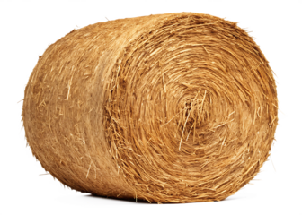    cylinder hay isolated on white background PNG,AI GENERATED