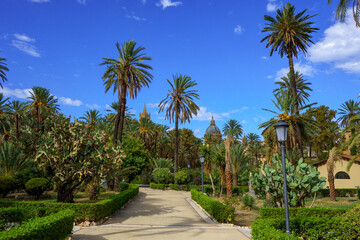 Palms in the great public garden of Villa Bonanno with the Cathederal of Palermo in the background in Sicily, Italy