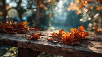 Autumn leaves on wooden surface under sunlight, showcasing the beauty of fall