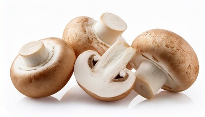 champignon mushrooms close up isolated on white background