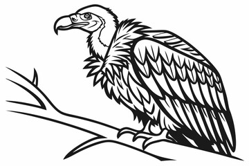 coloring page line art the vulture black vector