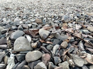 Close-up view of a rocky ground covered with various sized gray stones, pebbles, and dry autumn leaves. Natural textured background of a gravel path or riverbed in a park or garden.
