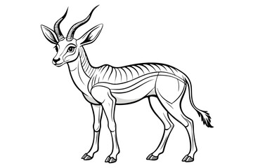 Fototapeta premium coloring pageline art the springbok black vector