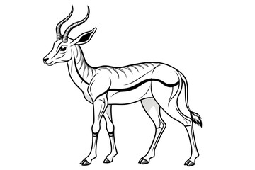 coloring pageline art the springbok black vector