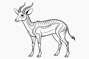 coloring pageline art the springbok black vector