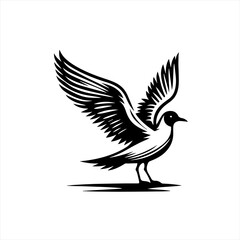 Obraz premium Seagull isolated on white background