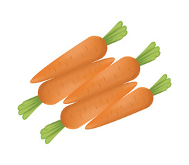  Flat Style Carrot Illustration with Green Leaves on White Background for Food Icons, Farm Design, Healthy Eating, Kids Education, or Graphic Projects