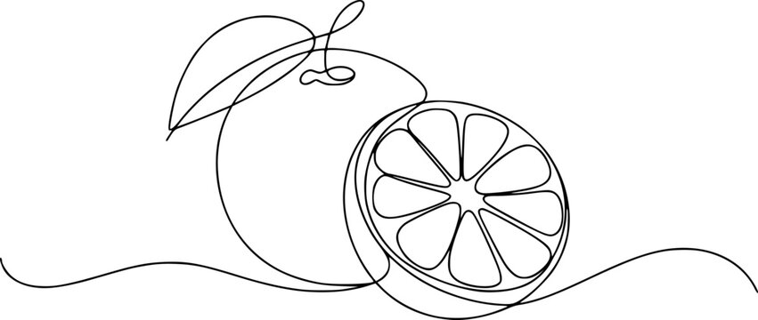 Single line drawing of a whole orange and a sliced orange with a leaf citrus fruit