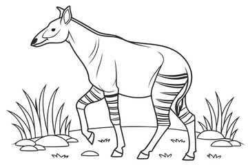 coloring page line art the okapi black vector