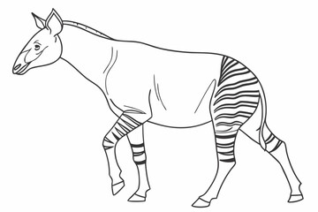 coloring page line art the okapi black vector © ofel