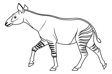 coloring page line art the okapi black vector © ofel