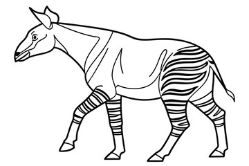 coloring page line art the okapi black vector