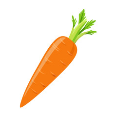 carrots vector illustration