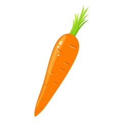 carrots vector illustration