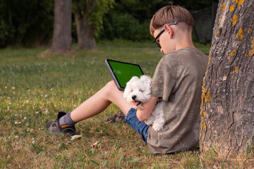 A boy sits in a park under a tree with his Maltipoo puppy and plays on a tablet. A boy with a...