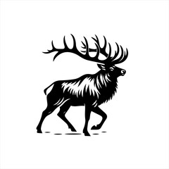 Fototapeta premium An elk isolated on white