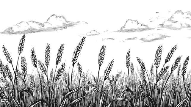 Elegant Engraved Black and White Wheat Field Outline Illustration