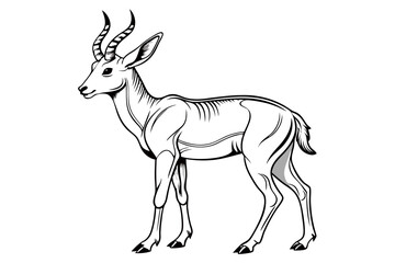 coloring page line art the pronghorn black vector