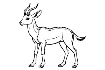 coloring page line art the pronghorn black vector