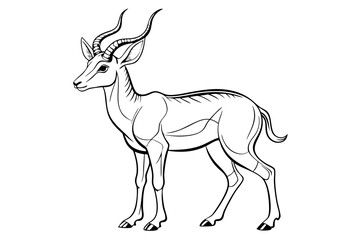 coloring page line art the pronghorn black vector