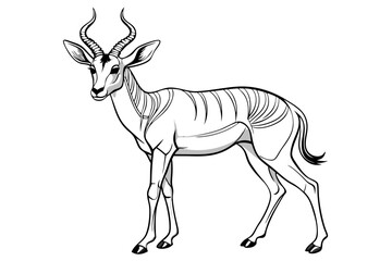 coloring page line art the pronghorn black vector