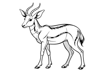 coloring page line art the pronghorn black vector