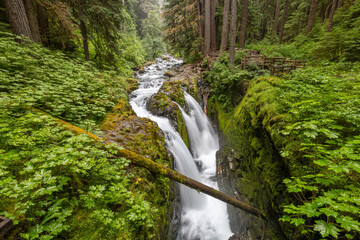 Sol Duc Falls 
Olympic National Park
Washington