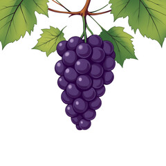 Fototapeta premium A bunch of purple grapes hanging from a branch with green leaves on transparent background