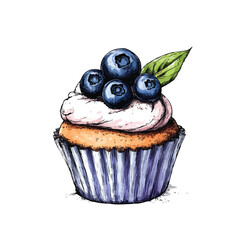 Delicious cupcake with blueberry sketch