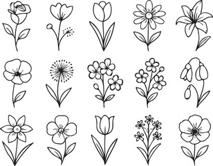 Diverse floral line art illustrations flowers rose