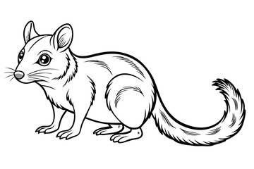 coloring page line art the quoll black vector