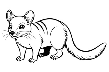 coloring page line art the quoll black vector