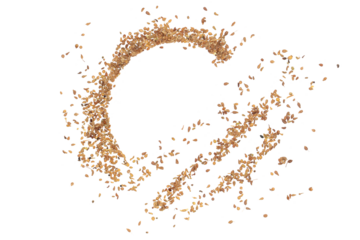 Anise seeds spice frame, isolated on white, (Pimpinella anisum) background and texture