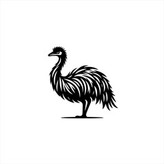 Fototapeta premium Emu isolated on white background
