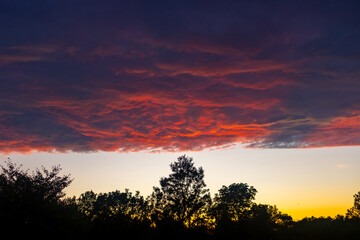 Fototapeta premium sunset over the field