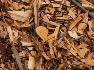 Close-up of Natural Wood Chips and Mulch Background