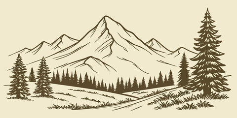 Fototapeta premium vector illustration of a forest