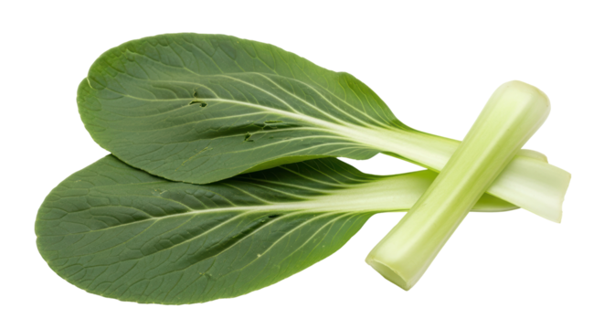 Isolated Bok Choy