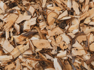 Close-up of Varied Light Brown Wood Chips and Mulch
