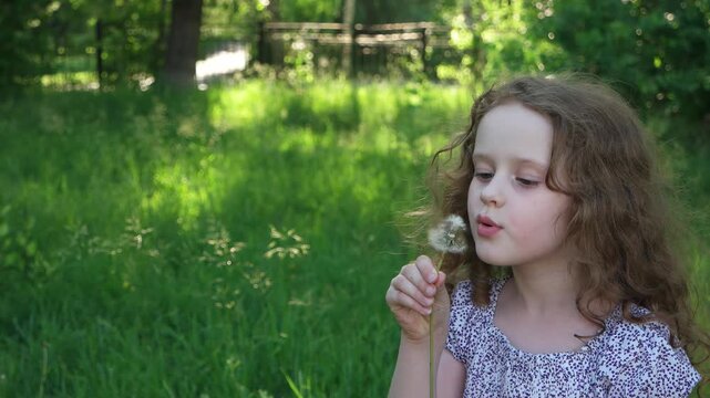 Beautiful little curly girl blowing dandelion, horizontal shot.