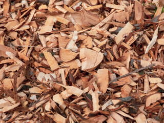 Abundant Mixture of Fresh and Aged Wood Chips