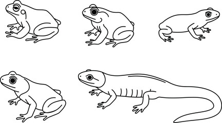 Obraz premium Collection of diverse animal silhouettes in various natural poses isolated on white background