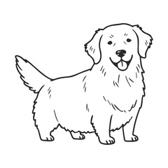 Fototapeta premium Smiling golden retriever line art illustration on white background